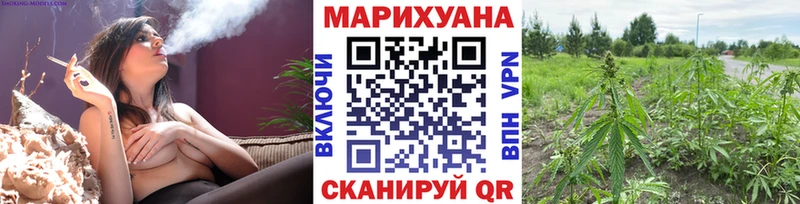 наркота omg tor Канабис THC 21% Губаха
